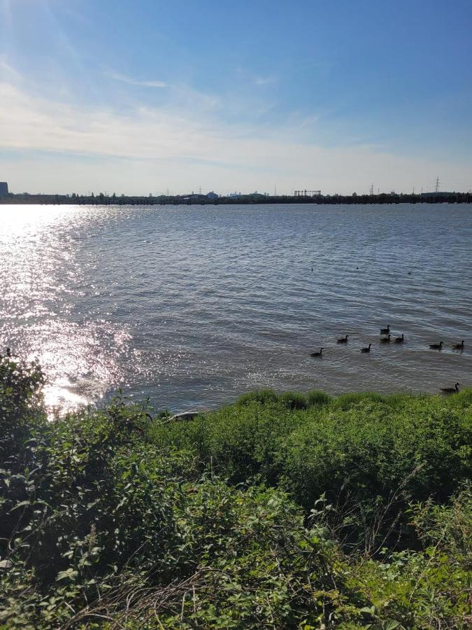 Fantastic Studio, Private Bathroom And Mini Kitchen. Thamesmead  Екстериор снимка